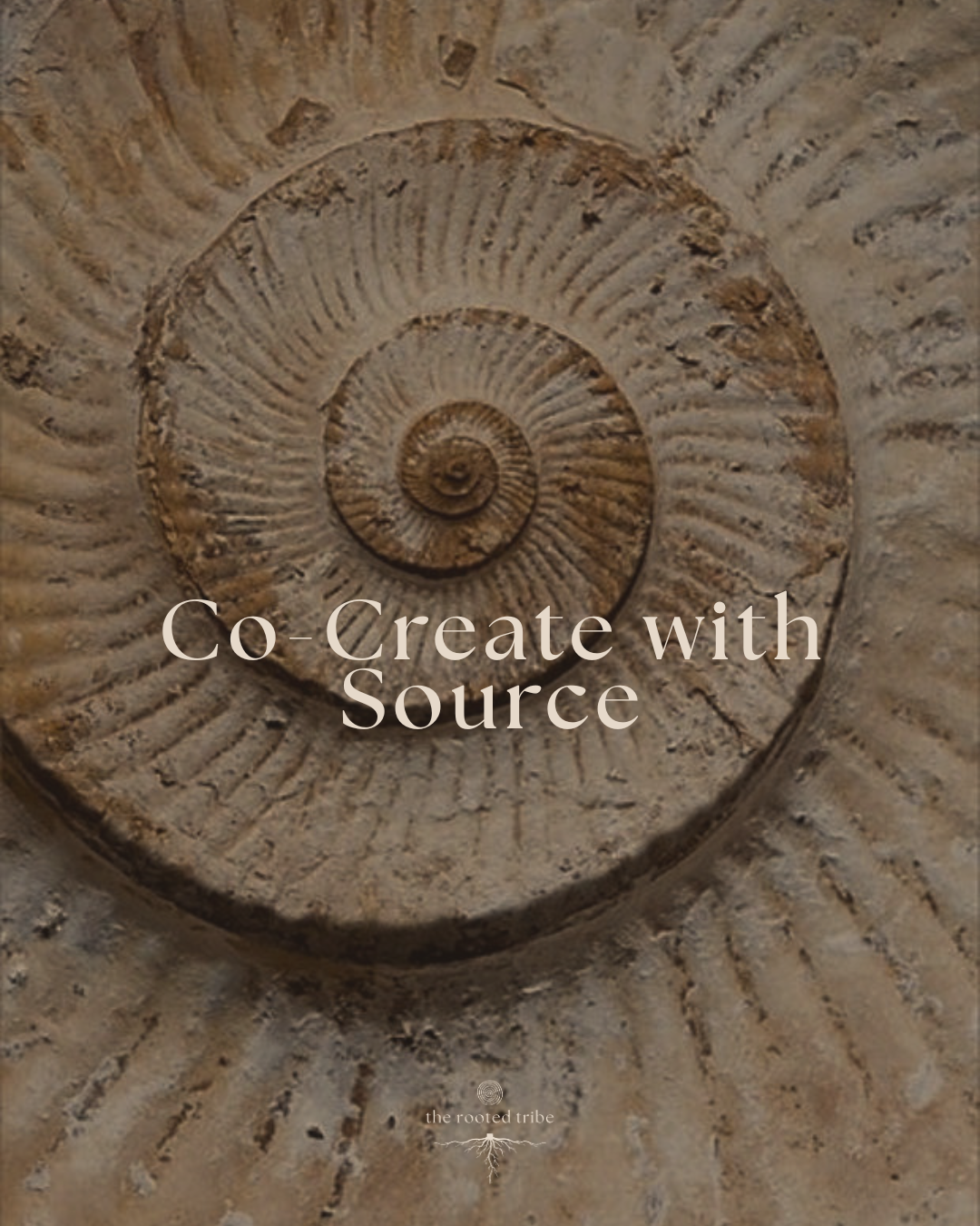 CO-CREATE WITH SOURCE